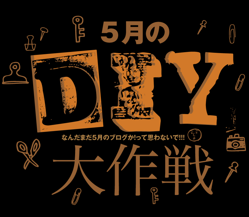 DIY大作戦_b0315480_21321768.jpg