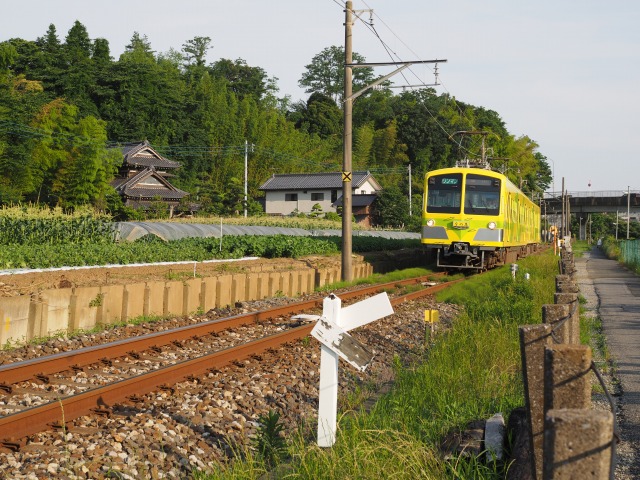 d0016584_39499.jpg