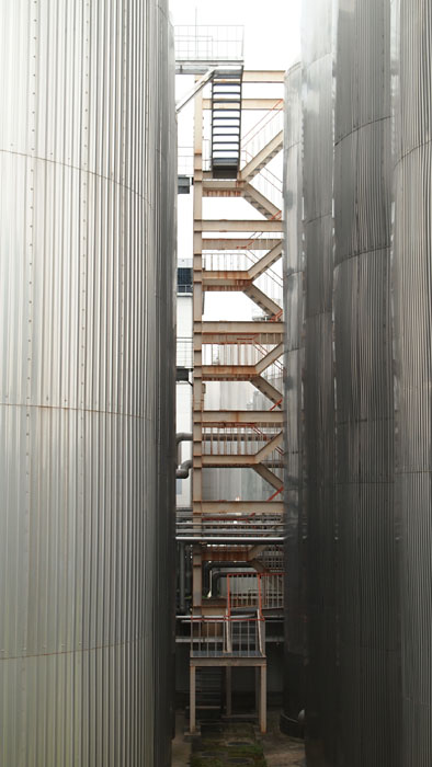 c0177785_594911.jpg