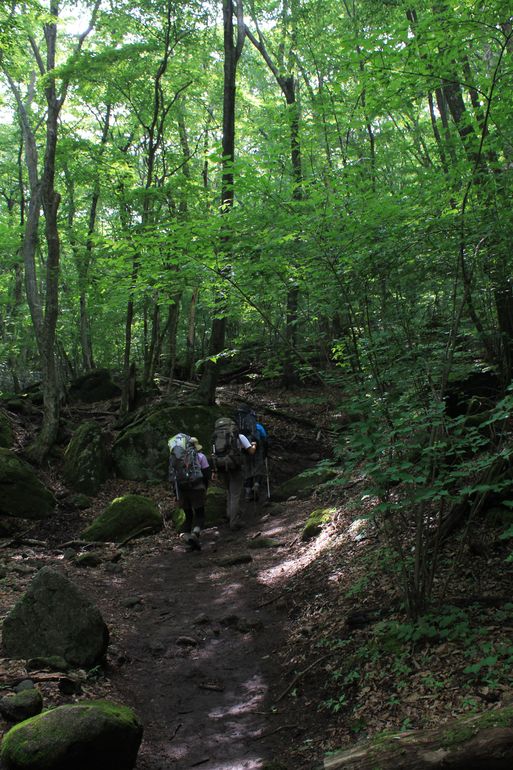 d0326888_022121.jpg
