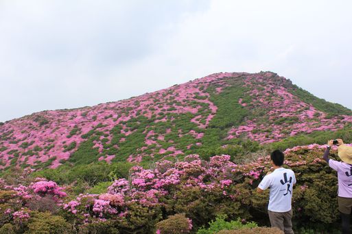 九重坊がツルキャンプ（1日目）がんばり組_d0326888_165235.jpg