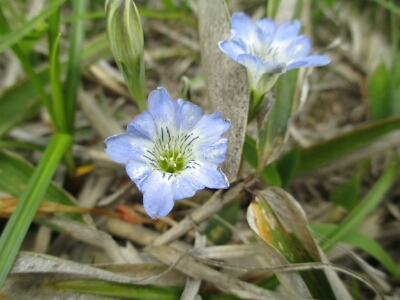 d0326888_88346.jpg