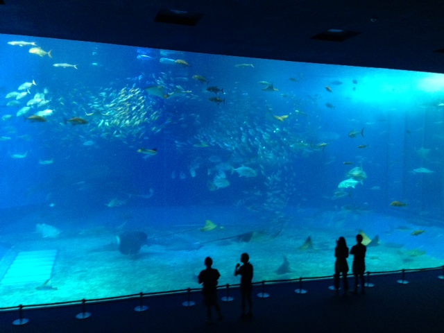e0161692_17211178.jpg