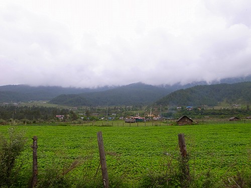 e0221697_8291415.jpg