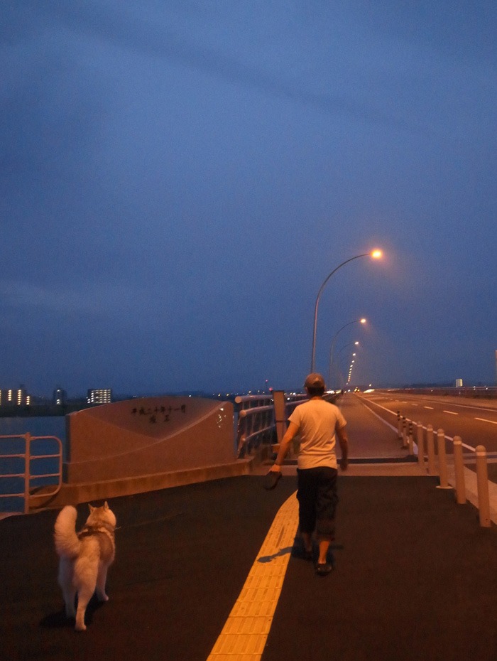 c0049299_22113946.jpg
