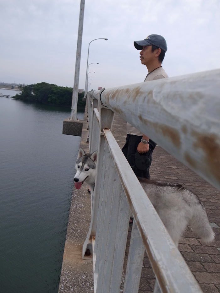 c0049299_2220990.jpg
