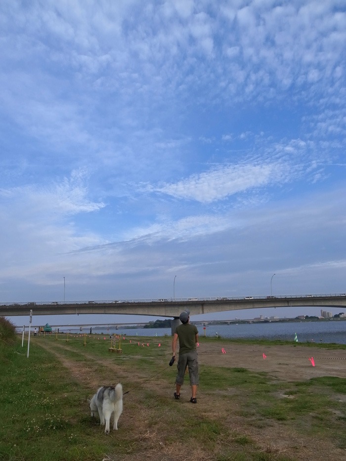c0049299_22235873.jpg