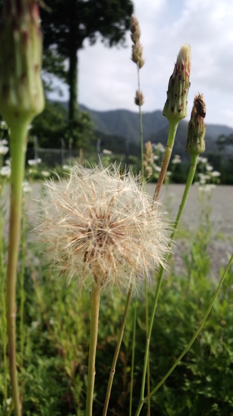 d0093903_8283630.jpg
