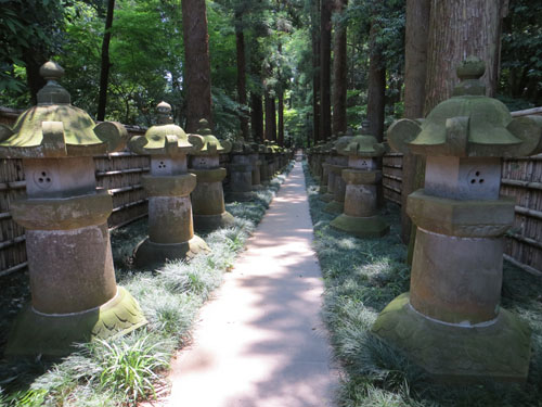 平林寺でスケッチ。_b0129807_1802956.jpg