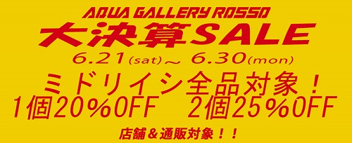 決算ＳＡＬＥ！！！！_b0240608_21553558.jpg