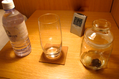 d0298808_16362428.jpg