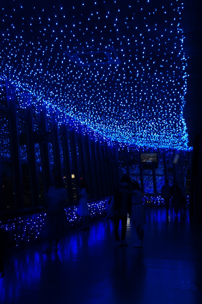 b0112909_21462430.jpg