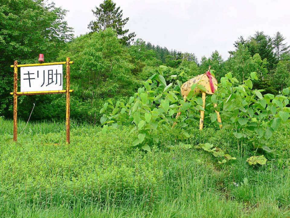 d0119909_20252897.jpg