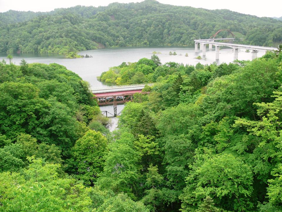 d0119909_20254826.jpg