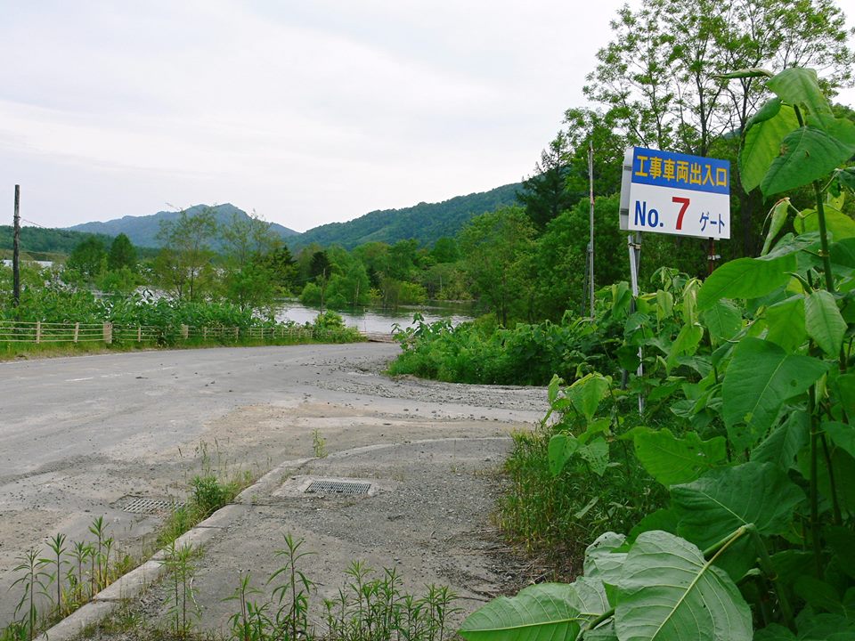 d0119909_20281679.jpg