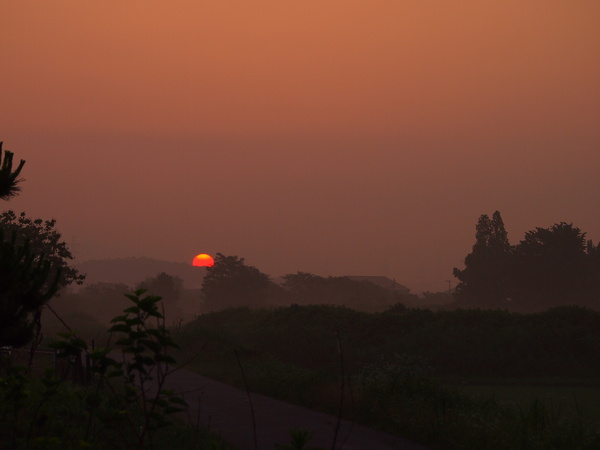 d0048812_9535265.jpg
