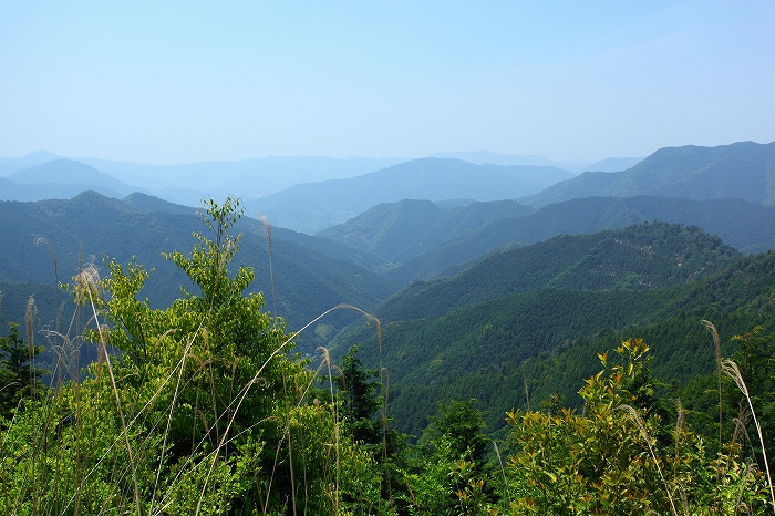 a0118913_231246.jpg