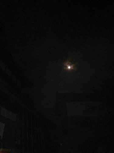 c0188814_21464032.jpg