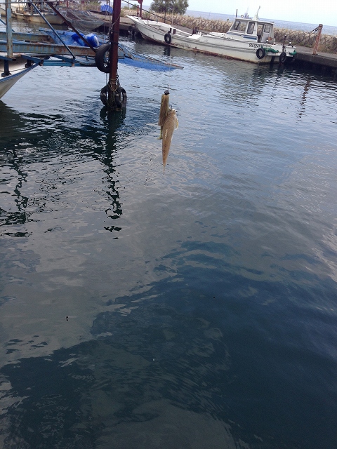 2014釣りキャンプ_a0164918_15183360.jpg
