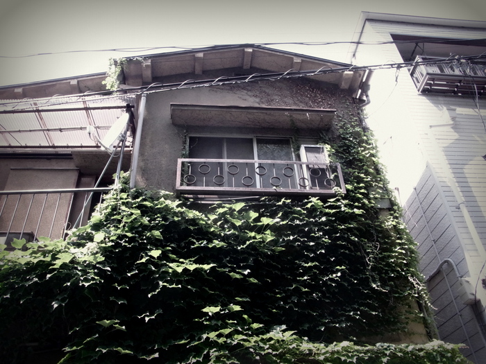 e0281818_1623125.jpg