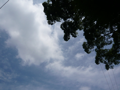 a0238019_217274.jpg