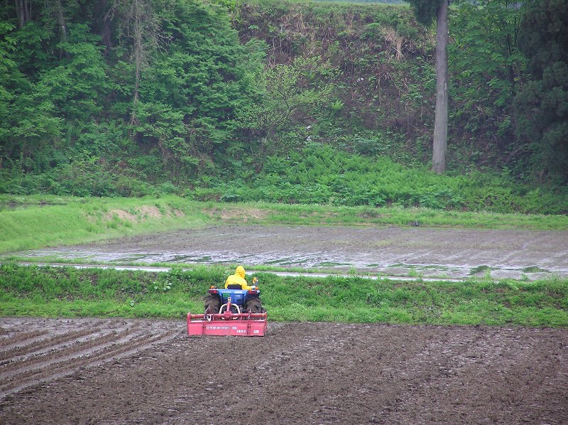 雨の中でのトラクターの田起こし作業 パソコン教室くりっくのブログ 雨の中でのトラクターの田起こし作業 パソコン教室くりっくのブログ