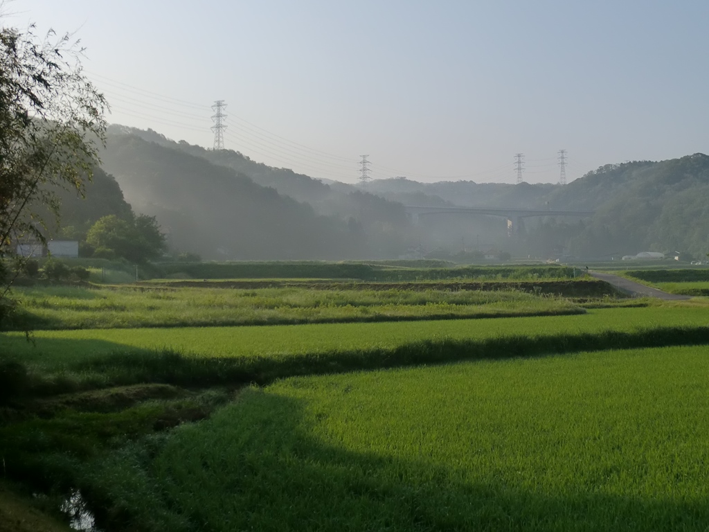 岩屋堂散歩道 情報_d0181824_10324683.jpg