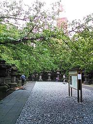 f0022024_15501448.jpg