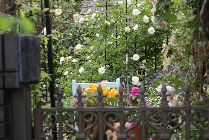 f0170524_6341023.jpg