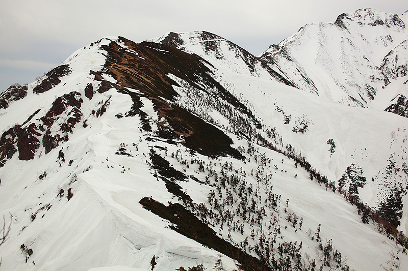 c0313231_17161549.jpg