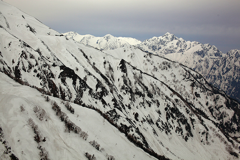 c0313231_17164463.jpg