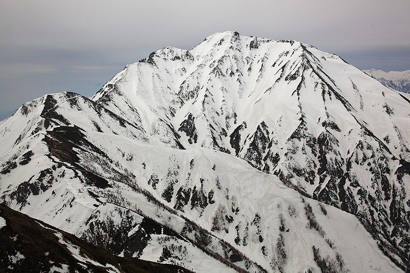 c0313231_17232731.jpg