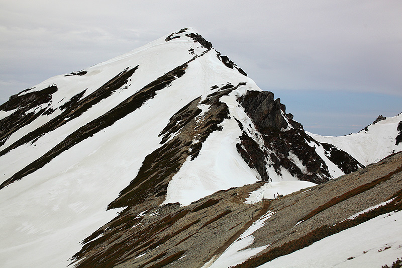c0313231_17253626.jpg