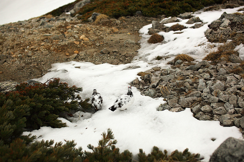 c0313231_1726482.jpg