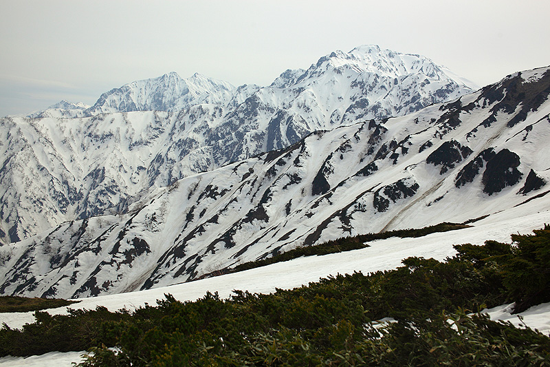 c0313231_2338524.jpg