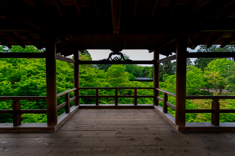 新緑！東福寺_f0155048_22223584.jpg