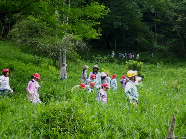 f0342250_21171117.jpg