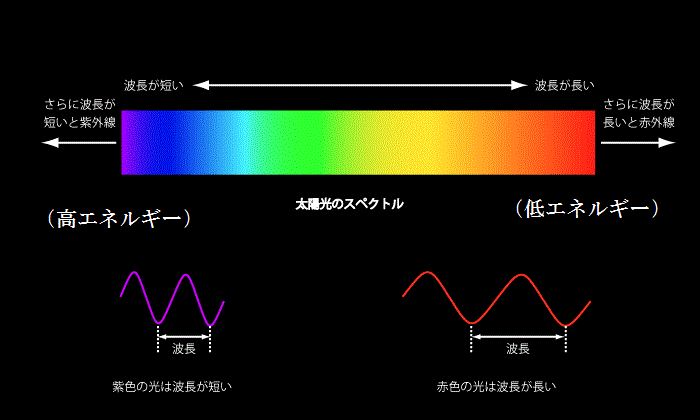 e0266858_16062932.gif