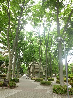 AKASAKA-MITSUKE その1 再び オープンコリドーへ♪_a0165160_06323942.jpg