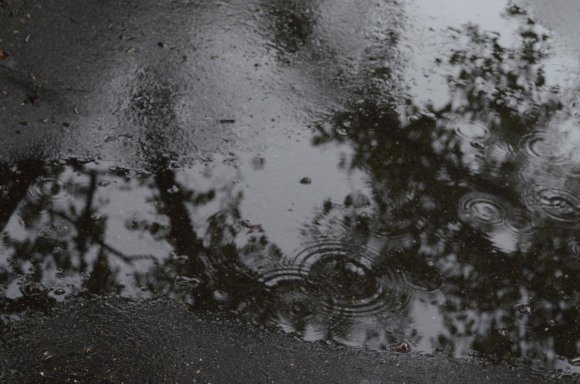 雨の日のアスファルト カメラ片手にお散歩ダイアリー 雨の日のアスファルト カメラ片手にお散歩ダイアリー