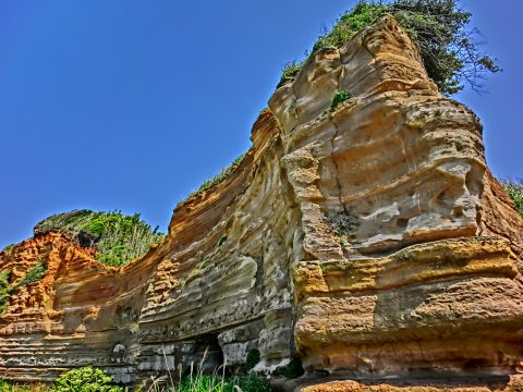 銚子方面一泊旅行、6/7 ～ 銚子→佐原植水生物園_e0045768_22191390.jpg