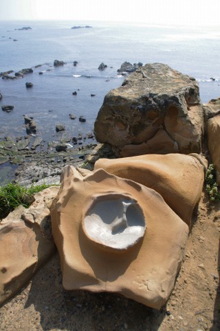 銚子方面一泊旅行、6/7 ～ 銚子→佐原植水生物園_e0045768_2284829.jpg