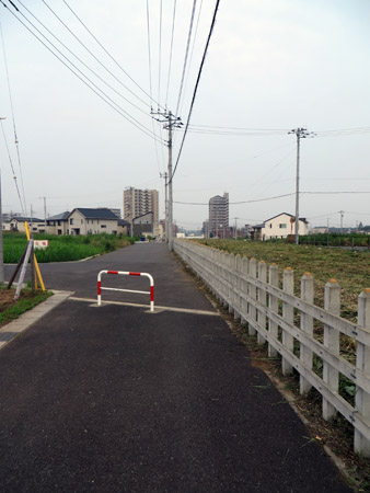 d0085887_56273.jpg