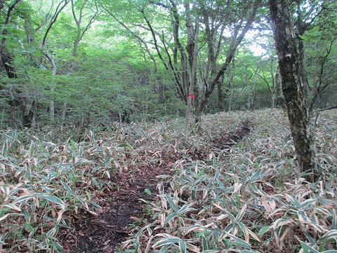 d0326888_12175315.jpg