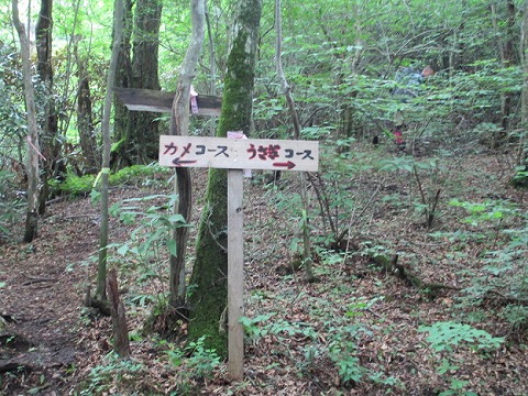 d0326888_1218998.jpg