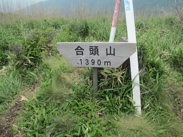 d0326888_12222933.jpg