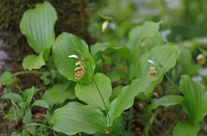 f0000789_8344990.jpg