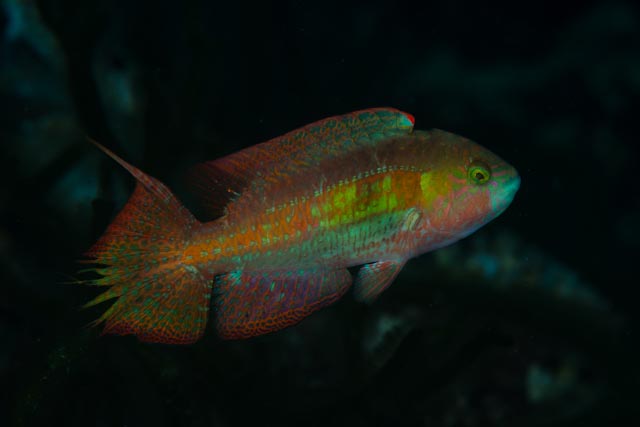 e0064291_21212563.jpg