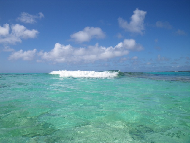 c0193396_8372217.jpg