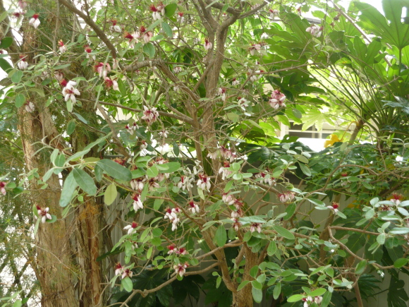 a0139007_19031503.jpg